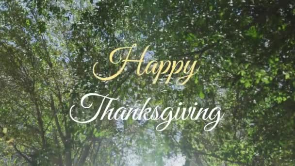 Animacja Szczęśliwego Tekstu Dziękczynienia Przed Słońcem Świecącym Przez Drzewa Parku — Wideo stockowe
