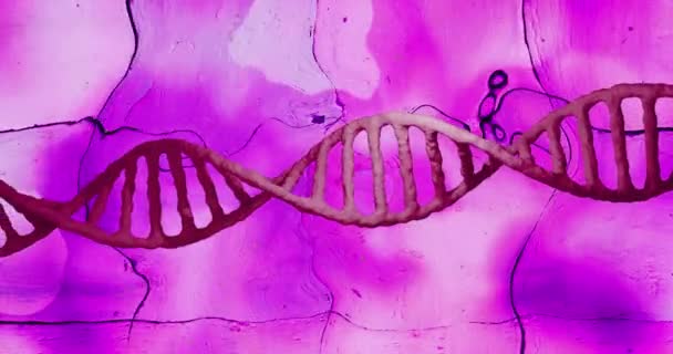 液体の紫色の背景を歪めることの上に赤いDnaの鎖を回して下さい 遺伝学 生物学 デジタル生成されたビデオ — ストック動画