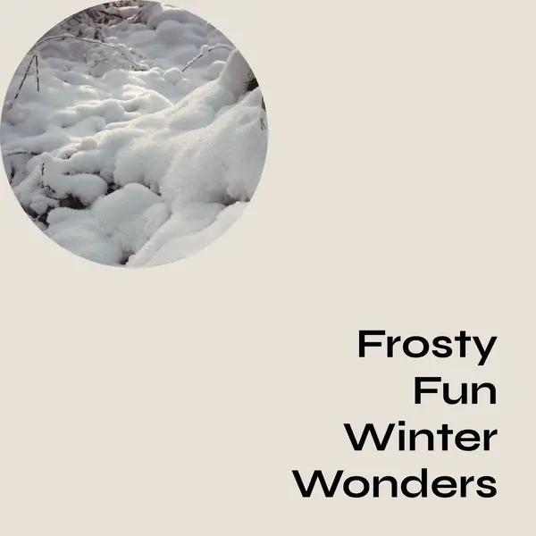 Composite of frosty fun winter wonders text over winter scenery. Winter, christmas, seasons and celebration concept digitally generated image.
