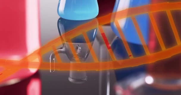 Animation Des Dna Stranges Über Laborgeschirr Auf Grauem Hintergrund Wissenschaft — Stockvideo