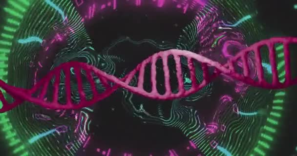 데이터 빨간색 Dna 가닥을 회전합니다 유전학 생물학 디지털 방식으로 생성된 — 비디오