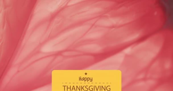 Animacja Szczęśliwego Tekstu Dziękczynienia Tle Różowego Liścia Święto Dziękczynienia Amerykańska — Wideo stockowe