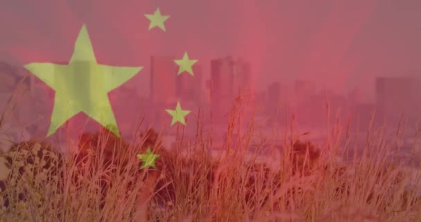 Şehir Manzarası Üzerinde Çin Bayrağı Animasyonu Küresel Finans Veri Işleme — Stok video