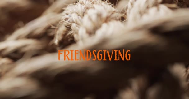 在棕色背景的绳子上 友谊的文字动画 感恩节 美国传统和庆祝概念数字生成的视频 — 图库视频影像