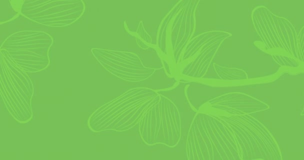 植物图案在绿色渐变背景下的动画 具有复制空间 摘要技术背景概念 — 图库视频影像