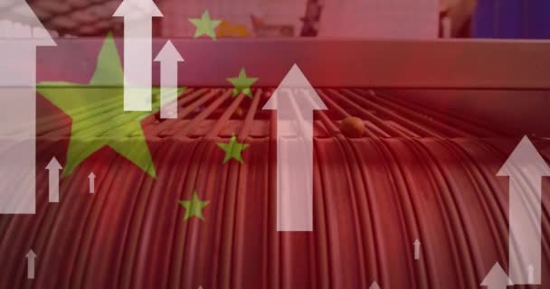 白い矢のアニメーション 工場上の中国の旗 グローバルビジネス データ処理 グローバルエコノミーのコンセプトをデジタル生成したビデオ — ストック動画