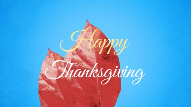 枫叶上飘扬着快乐感恩的文字横幅 衬托着蓝色的背景 感恩节和秋季的概念 — 图库视频影像