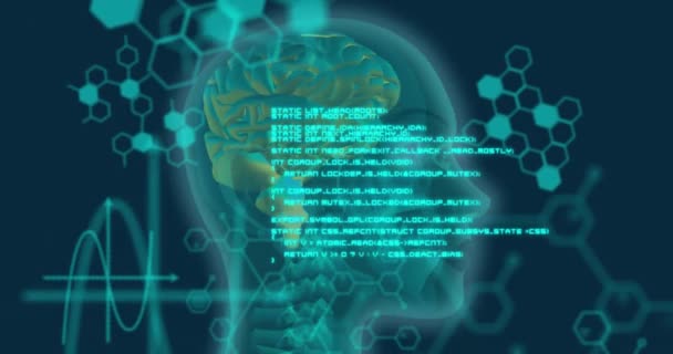 青い背景に対して人間の頭を回転させた医療データ処理のアニメーション 医学研究 科学技術コンセプト — ストック動画