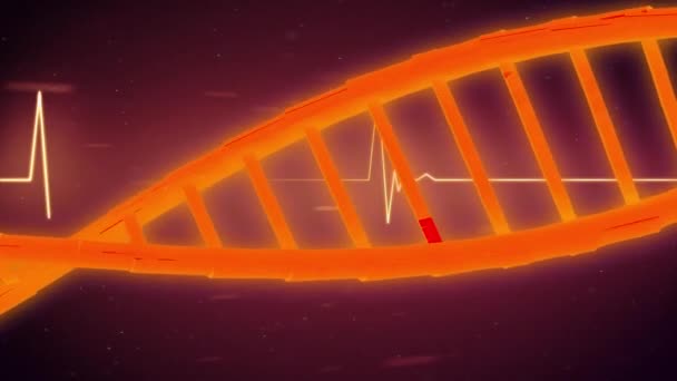 Rotating Red Dna Strand Heartbeat Monitor Processing Data Science Technology — Stock Video