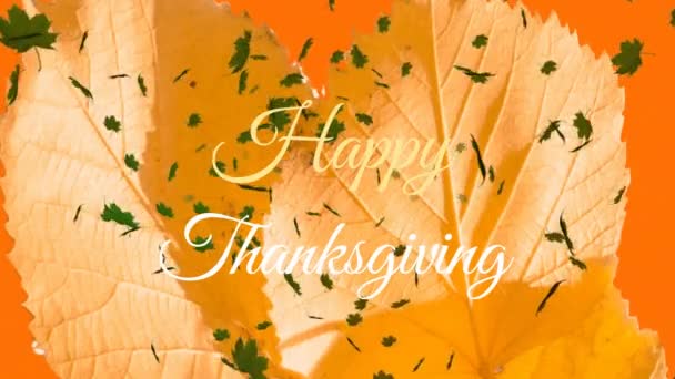 オレンジ色のバックグラウンドに浮かぶメープル上の幸せな感謝のテキストバナーのアニメーション 感謝祭と秋の季節のコンセプト — ストック動画