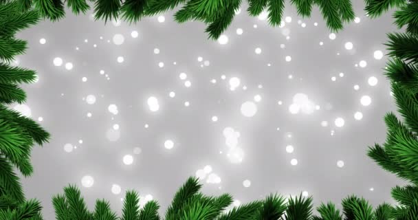 Animatie Van Dennentakken Met Gloeiende Lichtjes Grijze Achtergrond Kerst Traditie — Stockvideo
