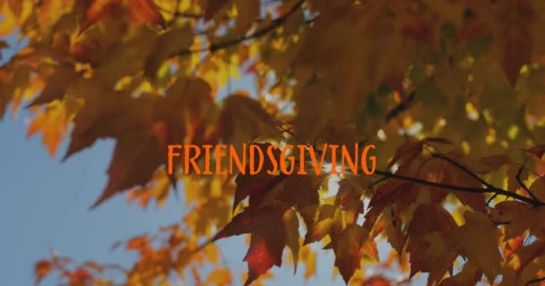 动画的友爱文字和秋天树的背景 感恩节 美国传统和庆祝概念数字生成的视频 — 图库视频影像