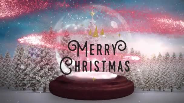 Анимация Веселого Рождественского Текста Над Рождественскими Украшениями Снежного Шара Рождество — стоковое видео