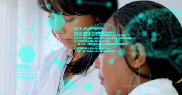 Animering Medicinska Data Bearbetning Över Två Olika Kvinnliga Forskare Som — Stockvideo
