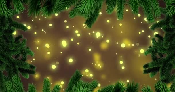 Animazione Rami Abete Con Luci Luminose Sfondo Giallo Natale Tradizione — Video Stock