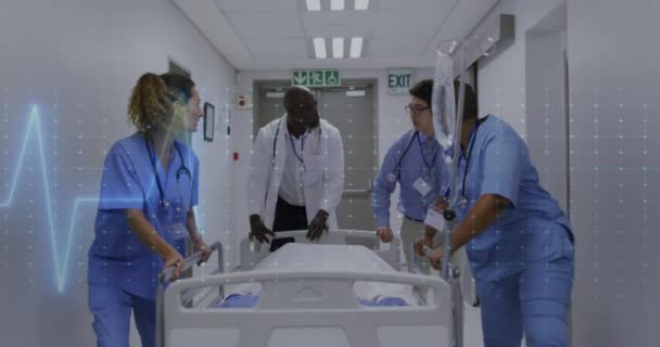 在医生和医护人员将病人推送到手术室的情况下 对心率进行监测 医疗急救和保健技术概念 — 图库视频影像