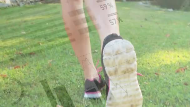 공원에서 여자의 섹션에 데이터 처리의 애니메이션 스포츠 피트니스 데이터 — 비디오
