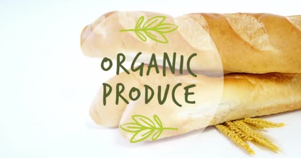 有機農産物のアニメーション 新鮮なパンと小麦の耳の閉鎖に対するテキストバナー ビーガン オーガニックで健康的な食品コンセプト — ストック動画