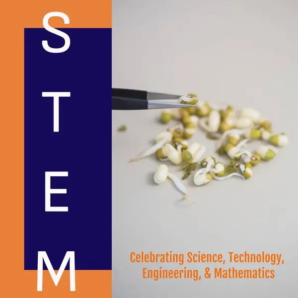 Composite Stem Text Sprouts White Background Copy Space Celebrating Science — Stock Photo, Image