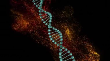 Dönen DNA yapısının animasyonu, siyah arkaplana karşı kırmızı ve sarı dijital dalgalar. Tıbbi araştırma ve bilim teknolojisi kavramı