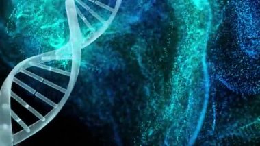 Dönen DNA yapısının animasyonu, siyah arkaplana karşı mavi ve yeşil dijital dalgalar. Tıbbi araştırma ve bilim teknolojisi kavramı