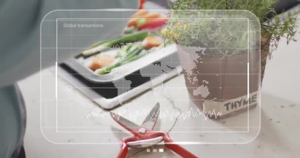 Animation Data Processing Rear View Woman Adding Thyme Herb Food — Stock Video