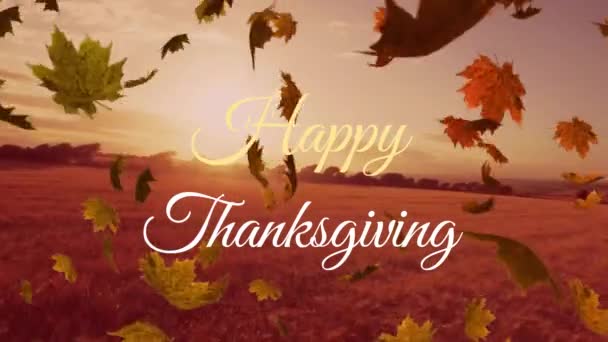 欢愉的感恩文字和枫叶的动画映衬着空中的草原风景 感恩节和秋季的概念 — 图库视频影像
