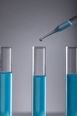 Laboratuvar test tüplerinin dikey görüntüsü mavi sıvı, pipet ve gri arka planda kopyalama alanı. Laboratuvar, bilim, araştırma ve kimya konsepti.