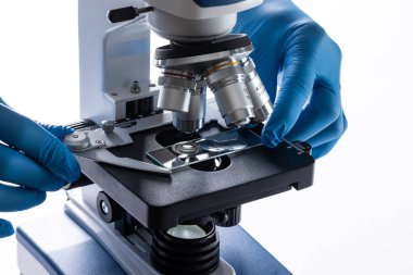Eldivenli bilim adamlarının elleri laboratuvar mikroskobu ve beyaz arka planda kopyalama alanı kullanıyor. Laboratuvar, bilim, araştırma ve kimya konsepti.