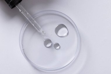 Laboratuvar çanağını ve pipeti beyaz arka planda fotokopi aletiyle kapatın. Laboratuvar, bilim, araştırma ve kimya konsepti.