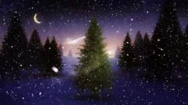 Kış manzarasında yağan karın animasyonu. Noel, kış, gelenek ve kutlama konsepti dijital olarak oluşturulmuş video.