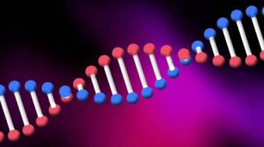 Mor gradyan arka planda dönen DNA yapısının animasyonu. Tıbbi araştırma ve bilim teknolojisi kavramı