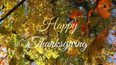 Mutlu şükran günü metinleri ve düşen yapraklarının animasyonu, ağaçların gökyüzüne karşı alçak açılı görüntüsü. Dijital bileşim, çoklu pozlama, doğa, şükran günü kutlaması, gelenek ve sonbahar konsepti.