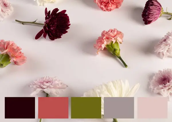 各种美丽花朵的组合 色彩斑斓的白色背景 复制空间 与众不同 植物学 艺术概念 — 图库照片