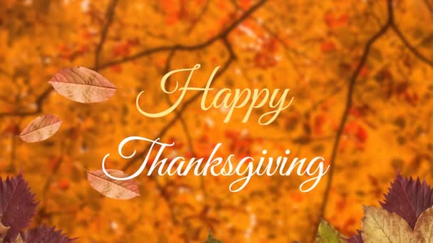 Animering Blad Och Glad Thanksgiving Text Över Träd Grenar Bakgrunden — Stockvideo