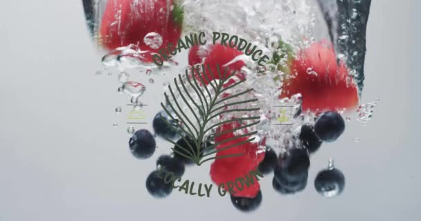 Animazione Prodotti Biologici Testo Coltivato Localmente Frutta Che Cade Fondo — Video Stock