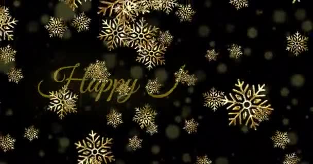 Animation Fallender Schneeflocken Mit Frohem Feiertagstext Und Linsenfackeln Auf Schwarzem — Stockvideo