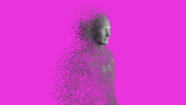 Animacja Kropek Tworzących Ludzką Reprezentację Różowym Tle Cyfrowo Generowane Hologram — Wideo stockowe