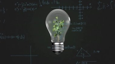 Bitki ve matematiksel veri işleme ile ampulün animasyonu. Küresel bilim, bilgisayar ve veri işleme kavramı dijital olarak oluşturulmuş video.
