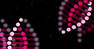 Siyah arkaplan üzerinde DNA ipliği ve veri işleme animasyonu. Küresel bilim, bilgisayar ve veri işleme kavramı dijital olarak oluşturulmuş video.