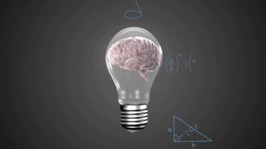 Kadın eli ve matematiksel veri işleme üzerinde beyni olan ampulün animasyonu. Küresel bilim, bilgisayar ve veri işleme kavramı dijital olarak oluşturulmuş video.
