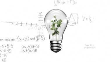 Kadının elinin üzerinde bitki olan ampulün animasyonu ve matematiksel veri işleme. Küresel bilim, bilgisayar ve veri işleme kavramı dijital olarak oluşturulmuş video.