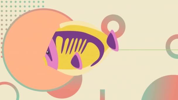 Animation Des Lebendigen Und Abstrakten Formmusters Hintergrund Farbe Muster Bewegung — Stockvideo