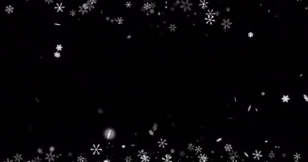 Animación Nieve Cayendo Sobre Fondo Negro Con Espacio Copia Chirstmas — Vídeo de stock