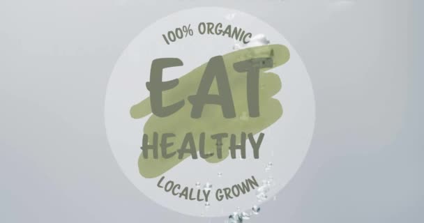 在灰色背景下 健康饮食的动画呈现在圆周上 有机食品 可持续性和气候变化意识概念数码视频 — 图库视频影像