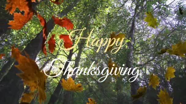 叶子的动画和愉快的感恩文字在木制木板上的背景树 数码合成 多重曝光 感恩庆典 传统与秋天的概念 — 图库视频影像