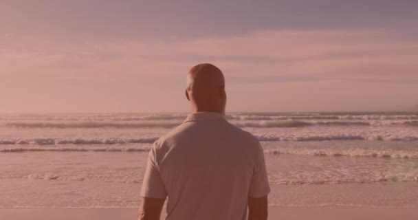 非洲裔美国老人在海滩上散步的后视镜 旅行度假退休生活方式概念 — 图库视频影像
