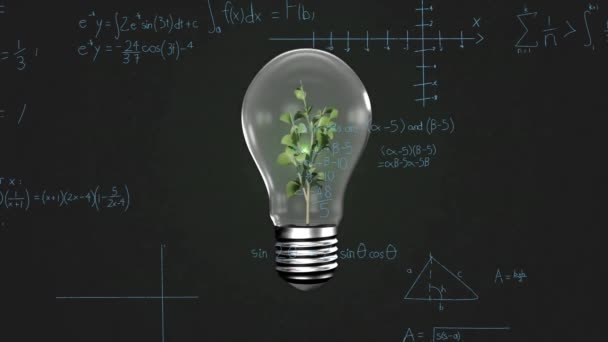 植物と数学的なデータ処理による電球のアニメーション グローバルサイエンス コンピューティング データ処理のコンセプトデジタル生成ビデオ — ストック動画