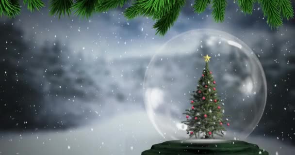 Анимация Ветки Снега Падающего Рождественскую Елку Снежном Шаре Фоне Зимнего — стоковое видео