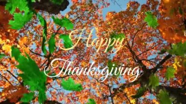 Yeşil yaprakların animasyonu ve mutlu şükran günü metinleri. Ağaçların düşük açılı gökyüzüne bakışıyla. Dijital bileşim, çoklu pozlama, doğa, şükran günü kutlaması, gelenek ve sonbahar konsepti.